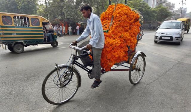 morning picdump 56 pics 16.html - 56 HD Photos | Premium Gallery 2011