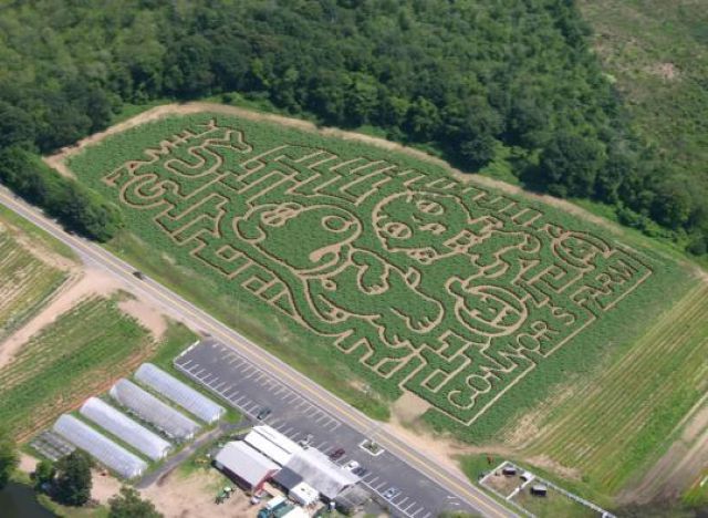 morning picdump 56 pics 16.html - 56 HD Photos | Premium Gallery 2011