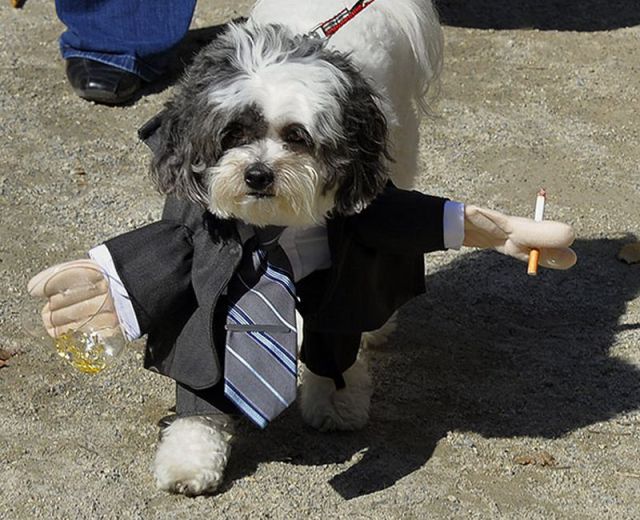 morning picdump 56 pics 16.html - 56 HD Photos | Premium Gallery 2011