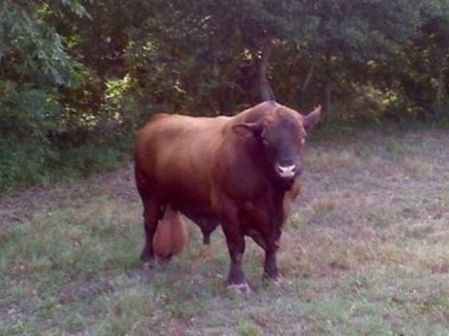 morning picdump 56 pics 16.html - 56 HD Photos | Premium Gallery 2011