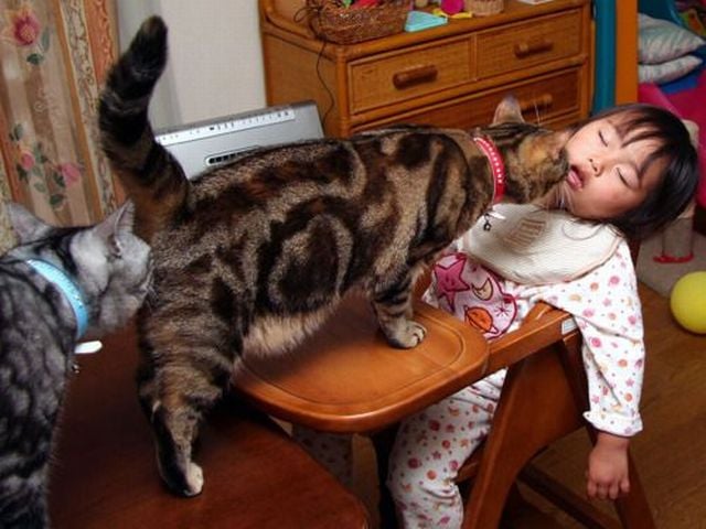 Daily Picdump