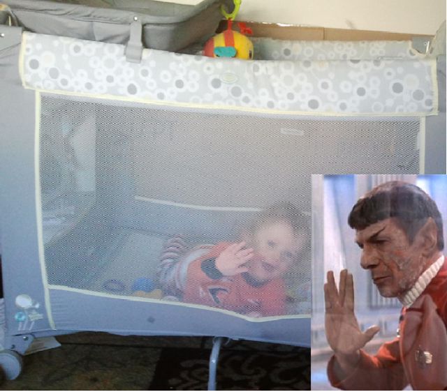 Daily Picdump