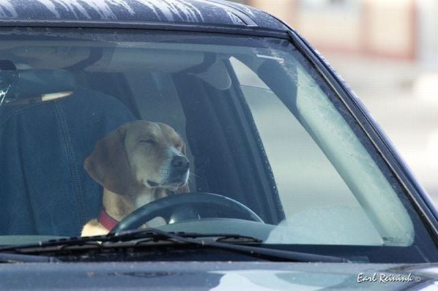 daily picdump 91 pics 42.html - 91 HD Photos | Premium Gallery 2011