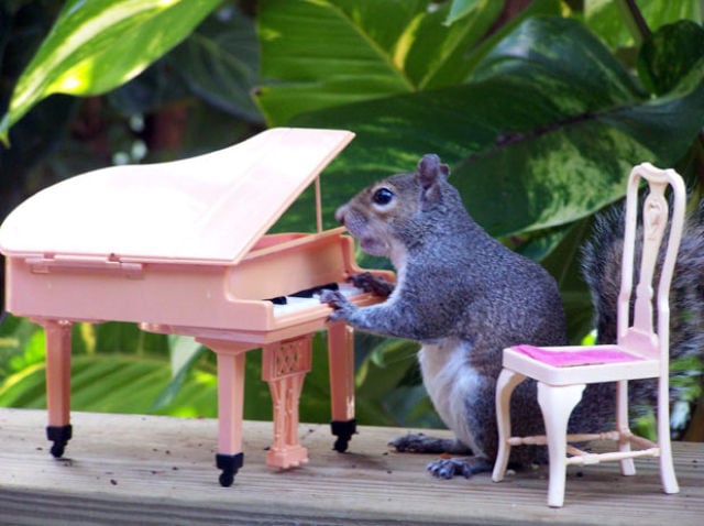 daily picdump 91 pics 42.html - 91 HD Photos | Premium Gallery 2011