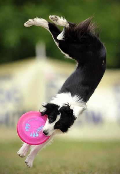 daily picdump 91 pics 42.html - 91 HD Photos | Premium Gallery 2011