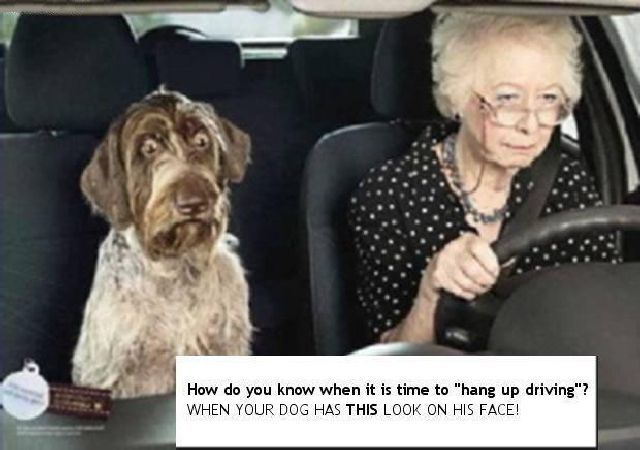 daily picdump 91 pics 42.html - 91 HD Photos | Premium Gallery 2011