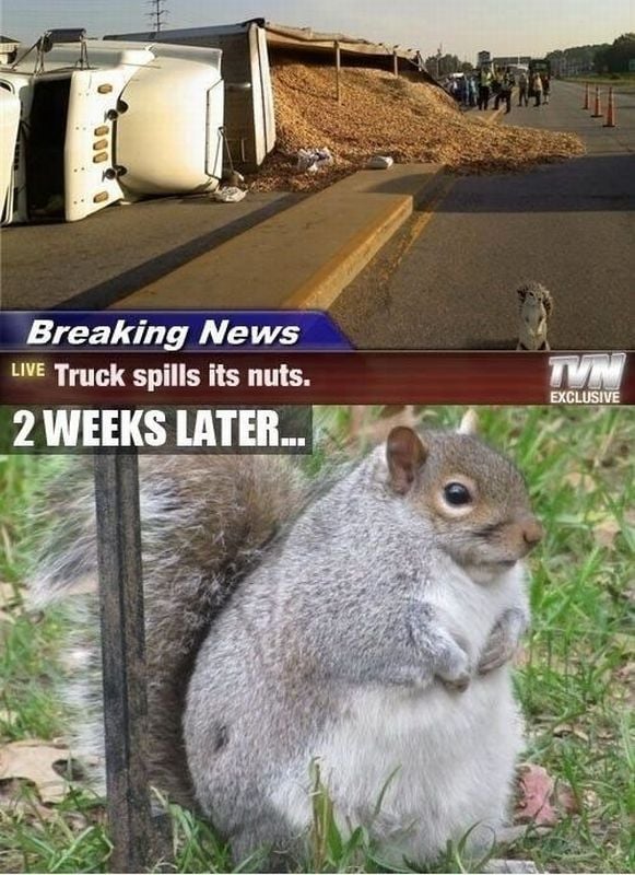 daily picdump 91 pics 42.html - 91 HD Photos | Premium Gallery 2011