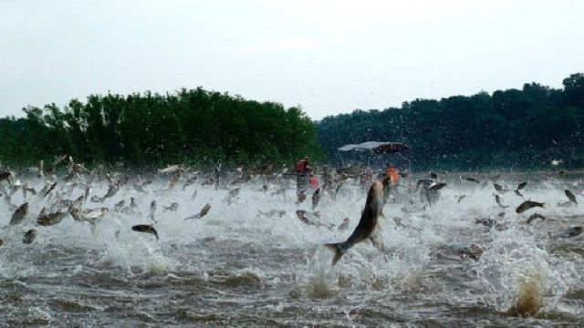morning picdump 58 pics 9.html - 58 HD Photos | Premium Gallery 2011