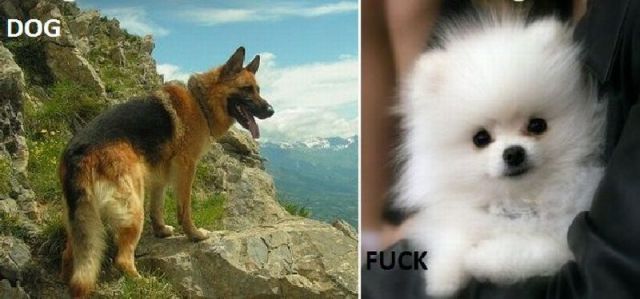 morning picdump 58 pics 9.html - 58 HD Photos | Premium Gallery 2011