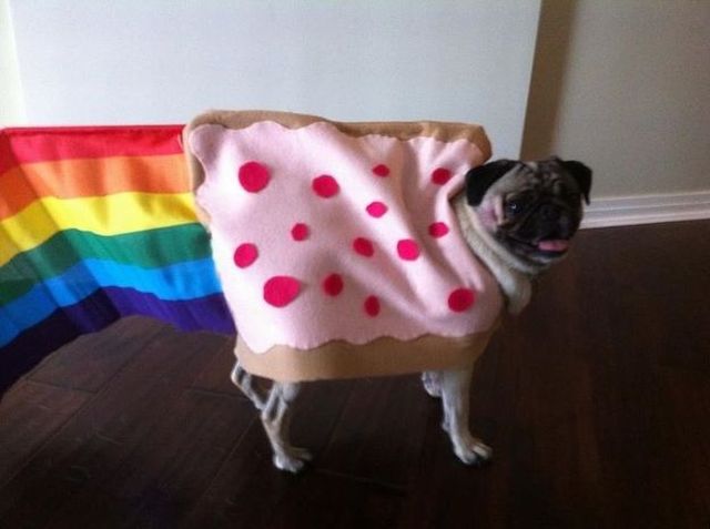 morning picdump 58 pics 9.html - 58 HD Photos | Premium Gallery 2011