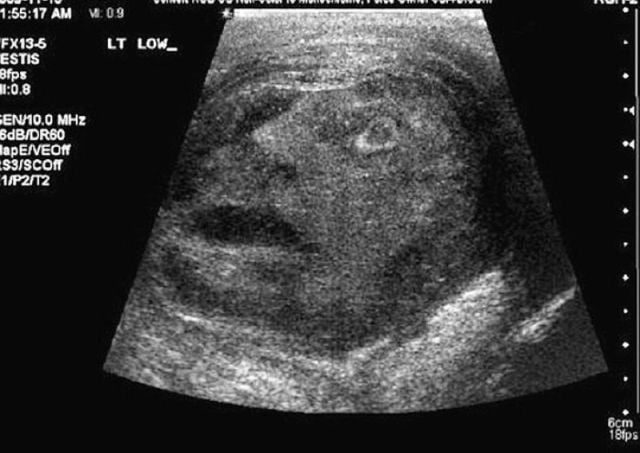 morning picdump 60 pics 5.html - 60 HD Photos | Premium Gallery 2011