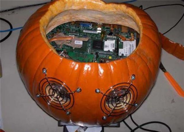 morning picdump 60 pics 5.html - 60 HD Photos | Premium Gallery 2011