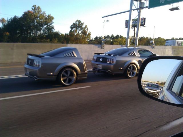 morning picdump 60 pics 5.html - 60 HD Photos | Premium Gallery 2011