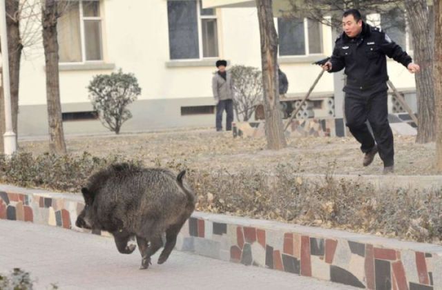 morning picdump 58 pics 15.html - 58 HD Photos | Premium Gallery 2011