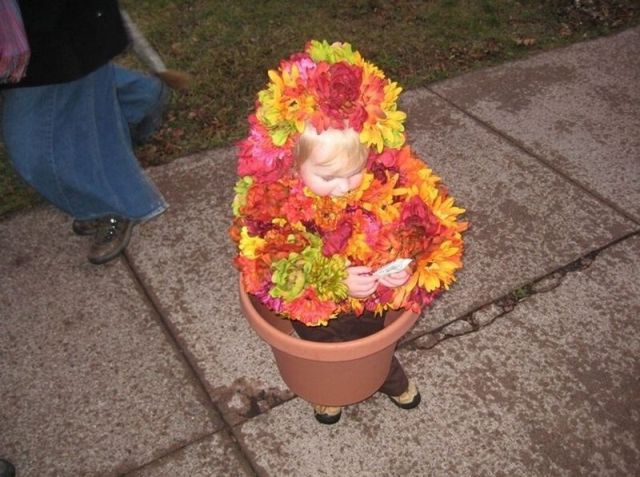 morning picdump 58 pics 15.html - 58 HD Photos | Premium Gallery 2011