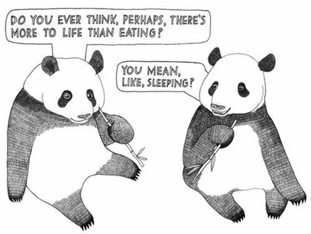 Morning Picdump