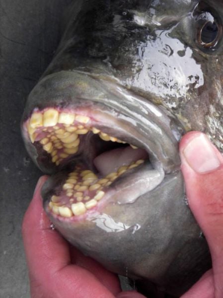 morning picdump 59 pics 12.html - 59 HD Photos | Premium Gallery 2011