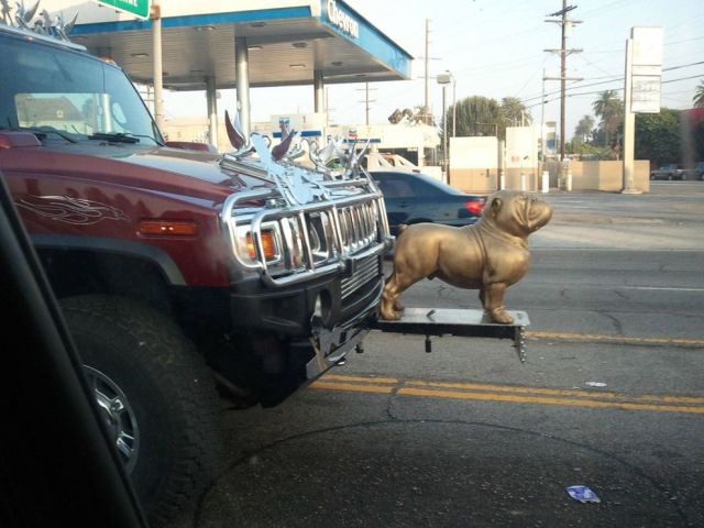 morning picdump 59 pics 12.html - 59 HD Photos | Premium Gallery 2011