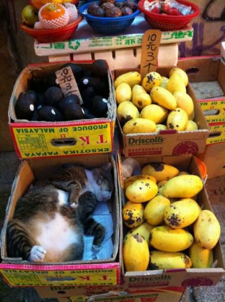 Daily Picdump