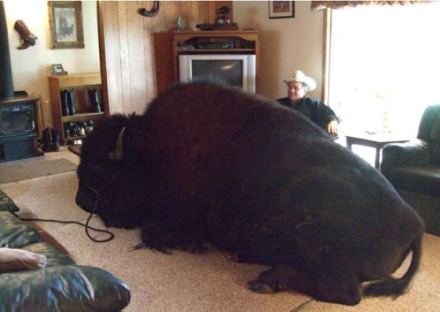 Daily Picdump