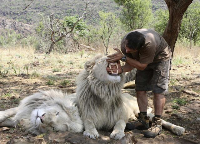 daily picdump 85 pics 7.html - 85 HD Photos | Premium Gallery 2011