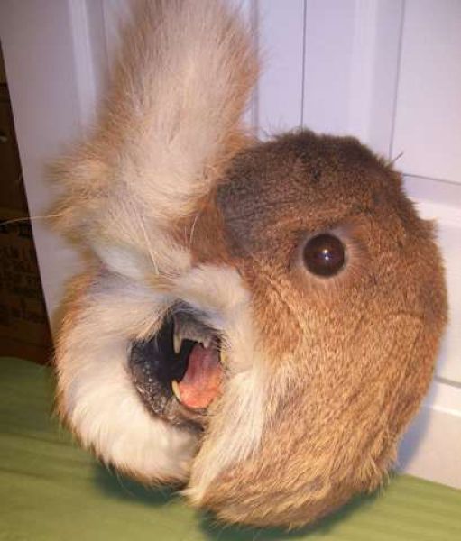daily picdump 85 pics 7.html - 85 HD Photos | Premium Gallery 2011