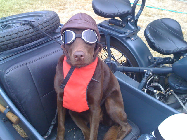 morning picdump 70 pics 22.html - 70 HD Photos | Premium Gallery 2011