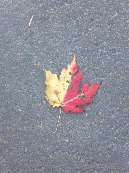 morning picdump 70 pics 22.html - 70 HD Photos | Premium Gallery 2011