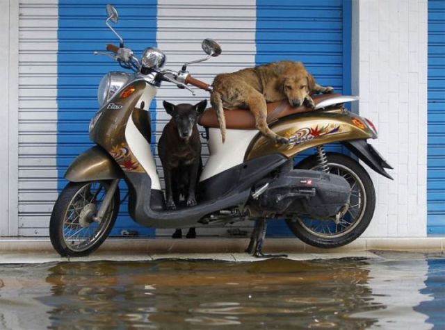morning picdump 59 pics 4.html - 59 HD Photos | Premium Gallery 2011