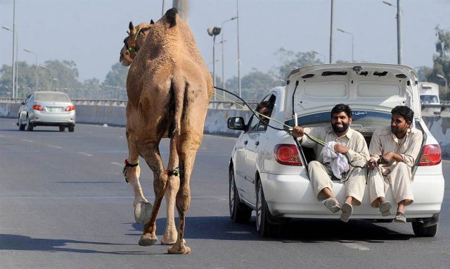 daily picdump 89 pics 9.html - 89 HD Photos | Premium Gallery 2011