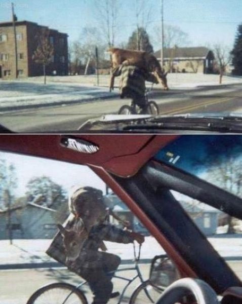 Morning Picdump