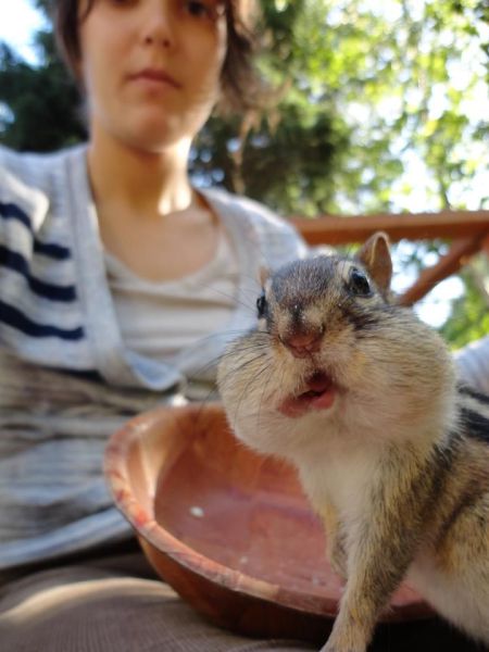 Morning Picdump