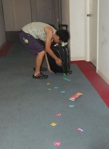Morning Picdump