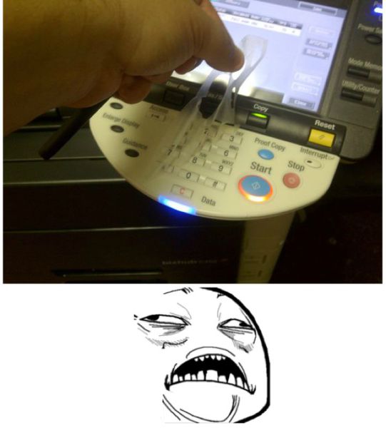Morning Picdump