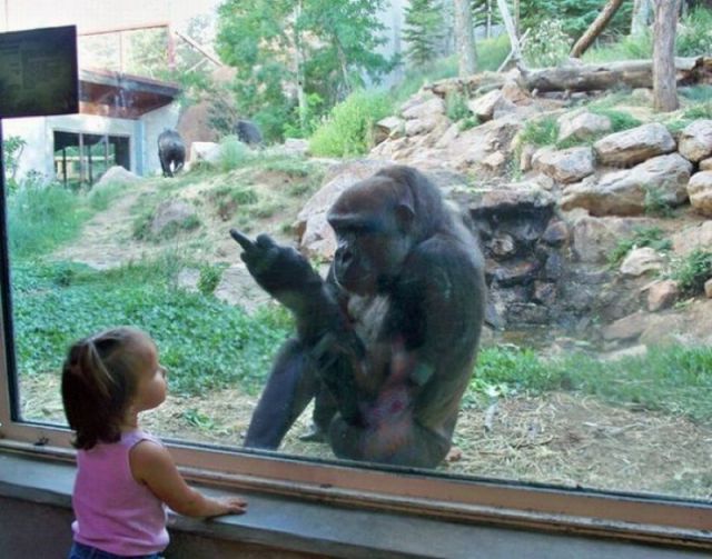 Morning Picdump