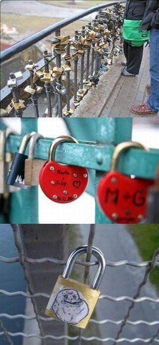 Morning Picdump