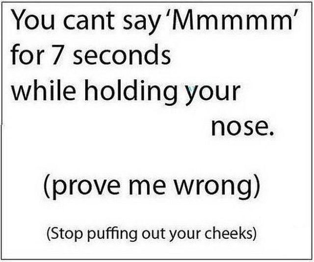 Morning Picdump