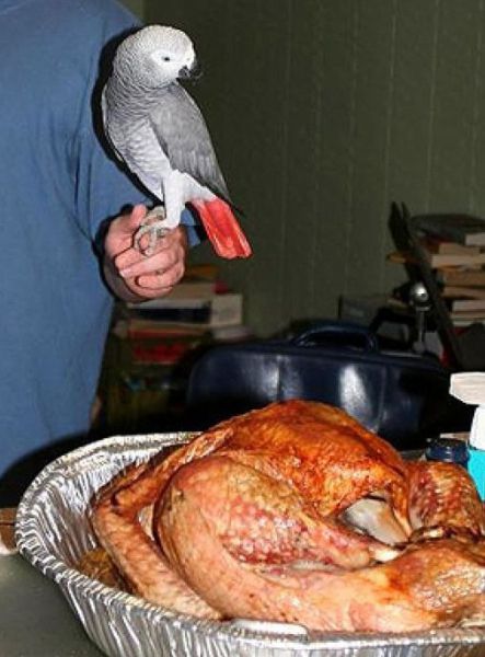 morning picdump 57 pics 2.html - 57 HD Photos | Premium Gallery 2011
