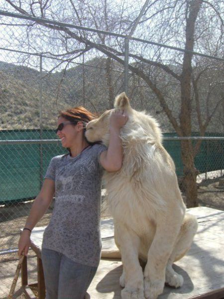 morning picdump 57 pics 2.html - 57 HD Photos | Premium Gallery 2011
