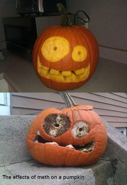 morning picdump 57 pics 2.html - 57 HD Photos | Premium Gallery 2011