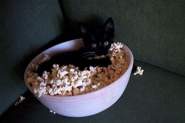 morning picdump 57 pics 2.html - 57 HD Photos | Premium Gallery 2011