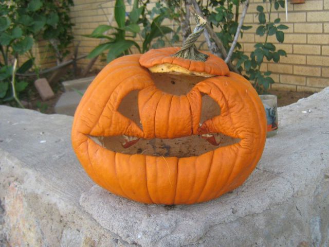 morning picdump 66 pics 6.html - 66 HD Photos | Premium Gallery 2011