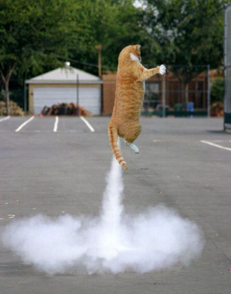 Daily Picdump