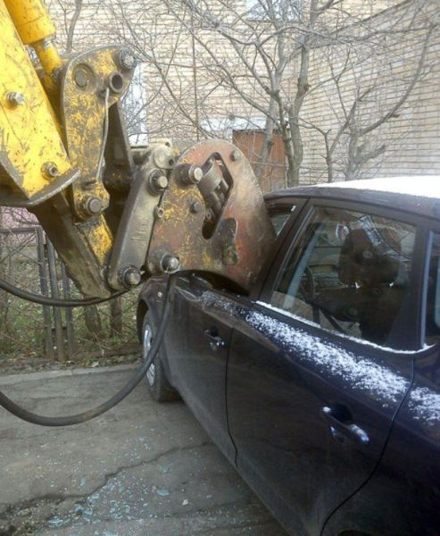 Daily Picdump