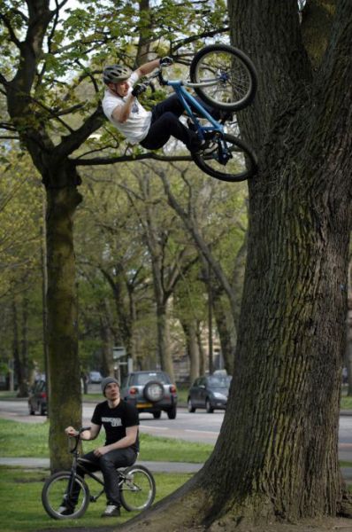 Daily Picdump