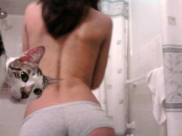 Daily Picdump