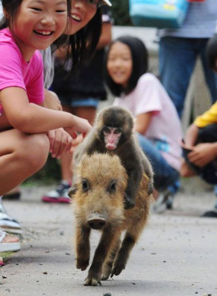 Daily Picdump