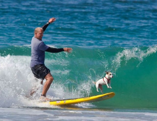 Daily Picdump