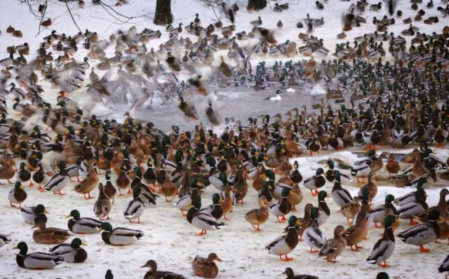 daily picdump 101 pics 11.html - 101 HD Photos | Premium Gallery 2011