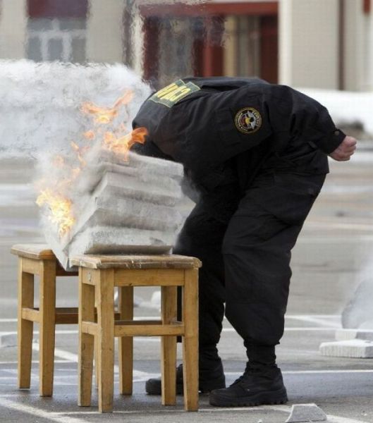 daily picdump 101 pics 11.html - 101 HD Photos | Premium Gallery 2011